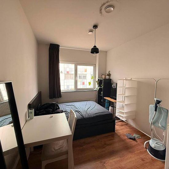 foto 6