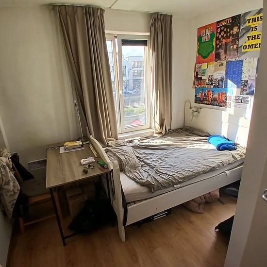 foto 6