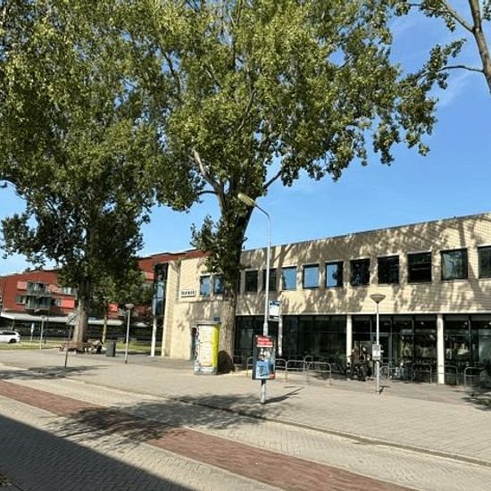 foto 6