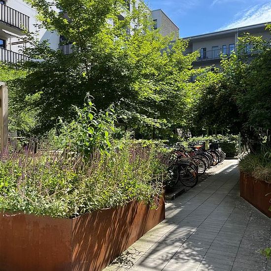 foto 6