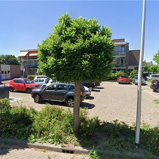 foto 6