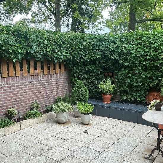 foto 6