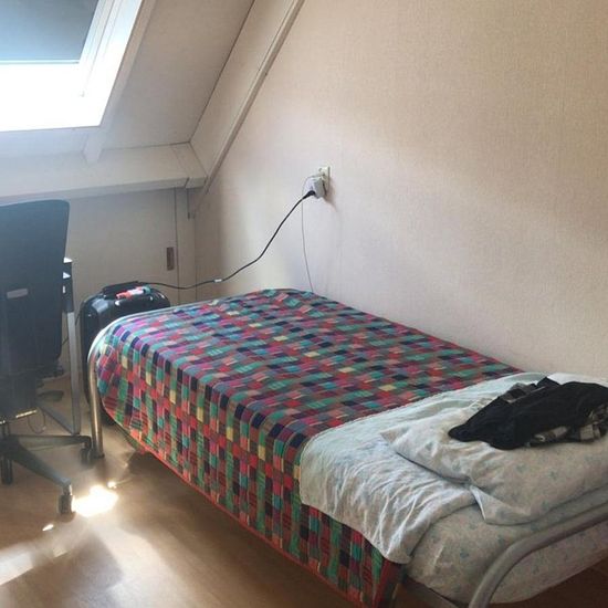 foto 6