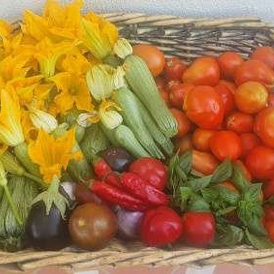 foto 6