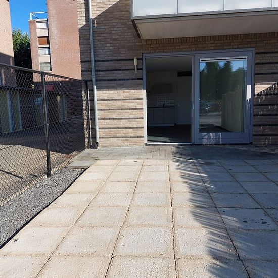 foto 6