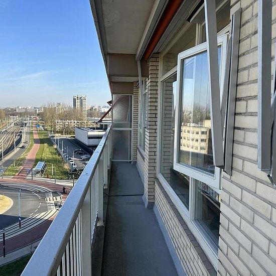 foto 6